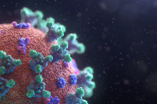 COVID oltást követő tüskefehérje specifikus IGG antitest meghatározás